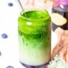 Matcha Berry